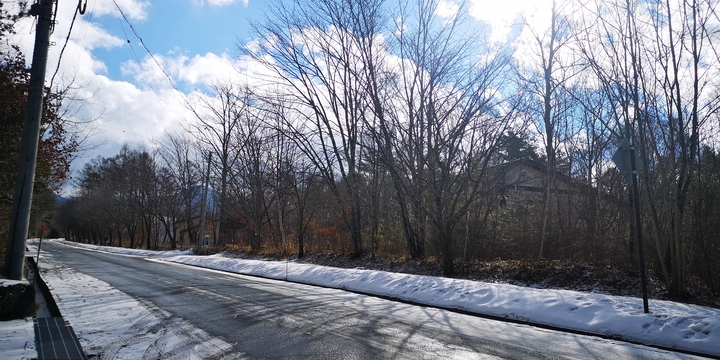 IMG_20250128_095714.jpg