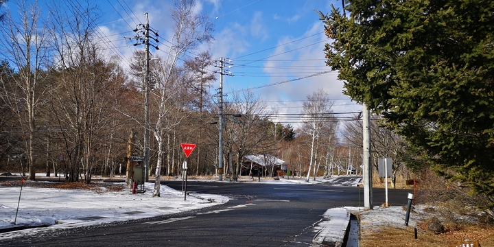 IMG_20250128_095717.jpg