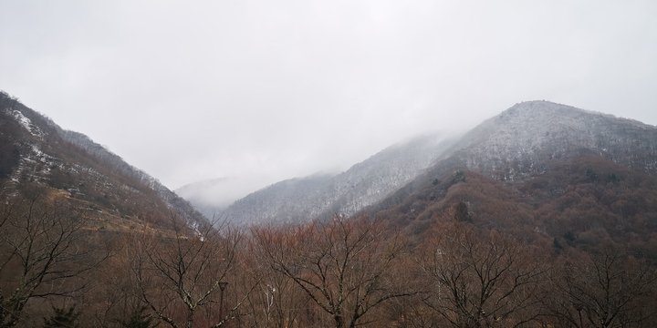 IMG_20250202_133901.jpg