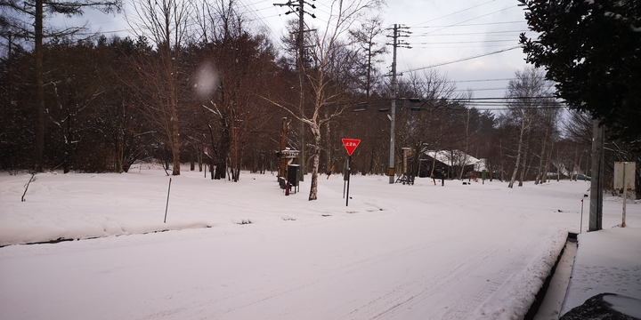 IMG_20250205_165450.jpg