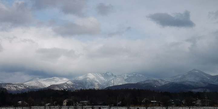 IMG_20250207_140827.jpg