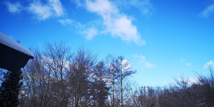 IMG_20250208_085953.jpg