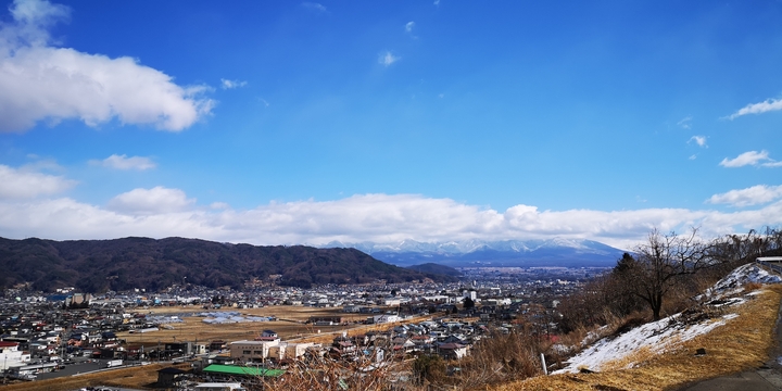 IMG_20250213_115416.jpg