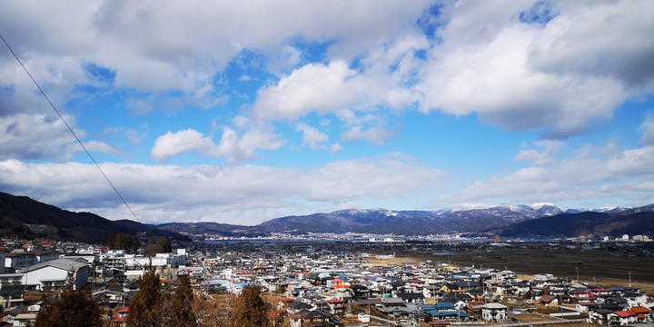 IMG_20250213_115427.jpg