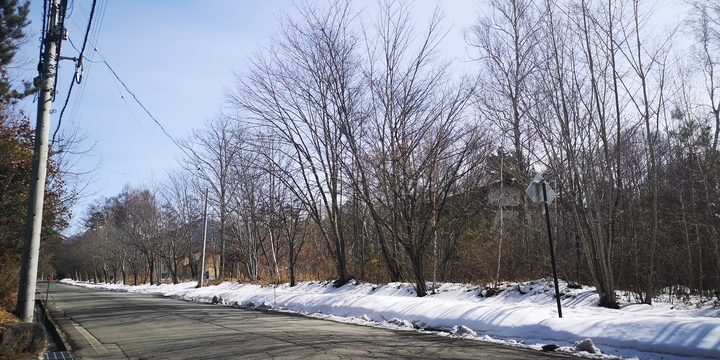 IMG_20250216_125601.jpg