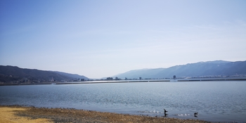 IMG_20250314_120947.jpg