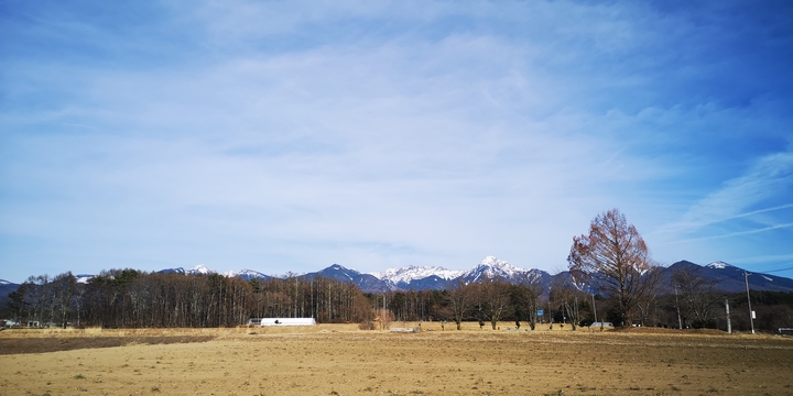 IMG_20250301_151756.jpg