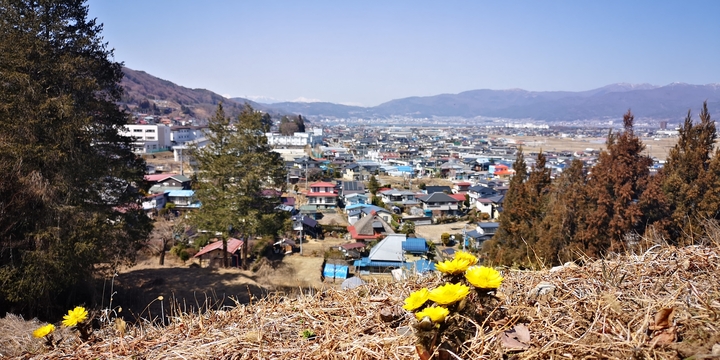 IMG_20250314_124058.jpg