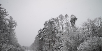 IMG_20250316_082348.jpg