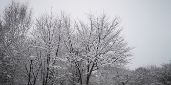 IMG_20250316_085753.jpg