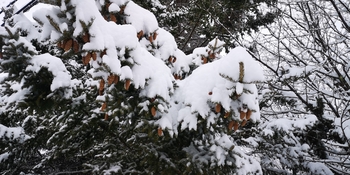IMG_20250316_085904.jpg