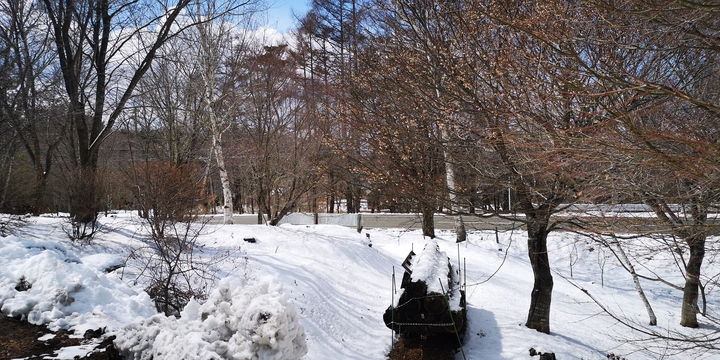 IMG_20250317_125937.jpg