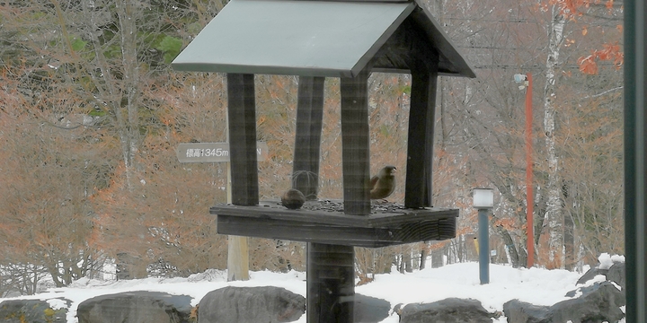 IMG_20250317_150041.jpg
