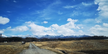 IMG_20250318_125823.jpg