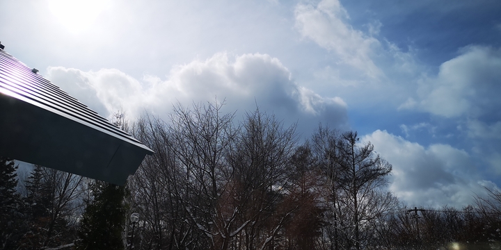IMG_20250319_145545.jpg