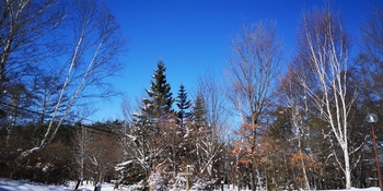 IMG_20250320_091328.jpg