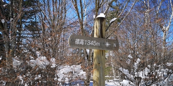 IMG_20250320_130207.jpg