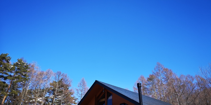 IMG_20250320_130526.jpg