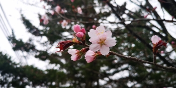 IMG_20250423_131857.jpg