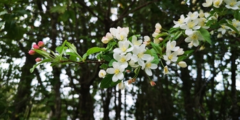 IMG_20250515_162519.jpg