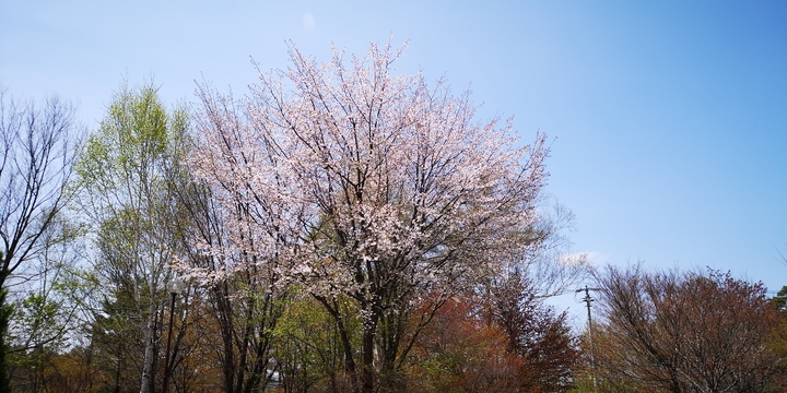 IMG_20250503_121258.jpg