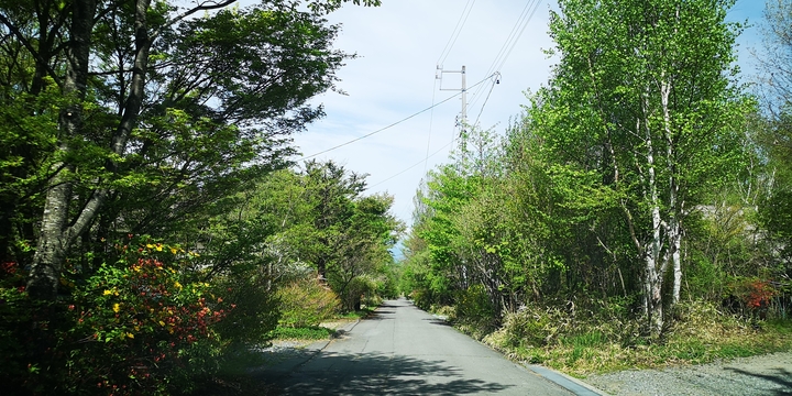 IMG_20250515_093149.jpg