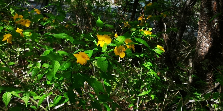 IMG_20250520_094022.jpg