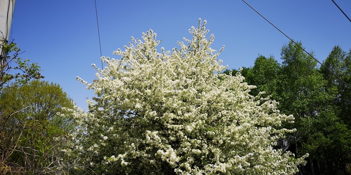 IMG_20250520_094718.jpg