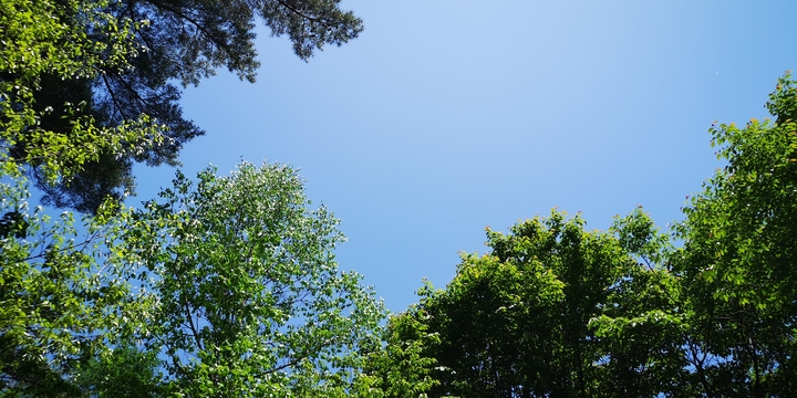 IMG_20250520_095846.jpg