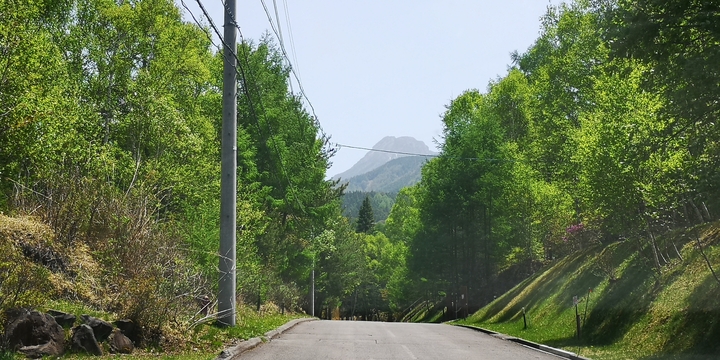 IMG_20250520_104457.jpg