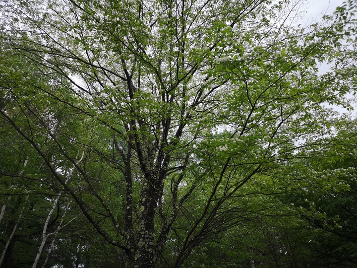IMG_20250525_105429.jpg