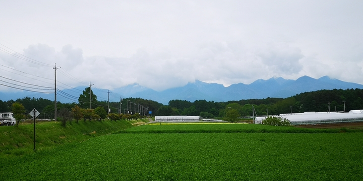 IMG_20250529_130022.jpg