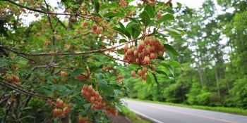IMG_20250530_035738.jpg