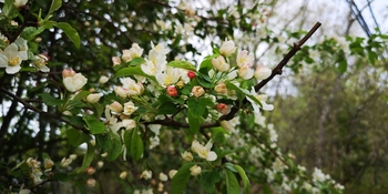 IMG_20250515_162545.jpg