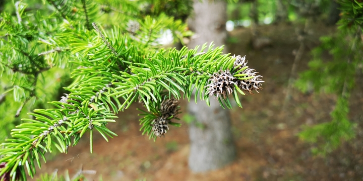 IMG_20250528_130318.jpg