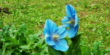 IMG_20250611_235931.jpg