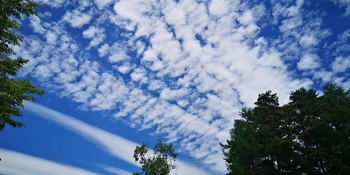 IMG_20250604_115947.jpg