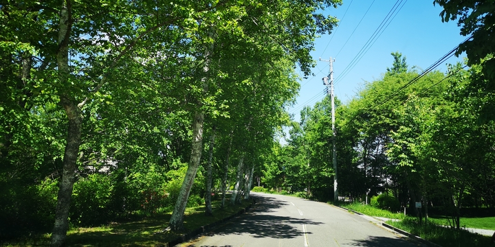 IMG_20250605_100104.jpg