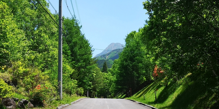 IMG_20250605_111826.jpg
