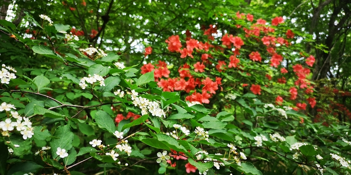 IMG_20250609_105656.jpg