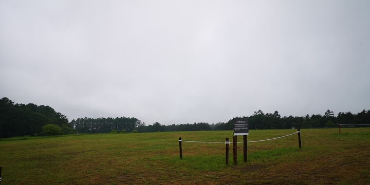 IMG_20250614_124037.jpg
