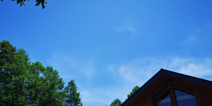 IMG_20250621_125521.jpg