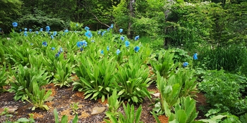 IMG_20250609_103823.jpg