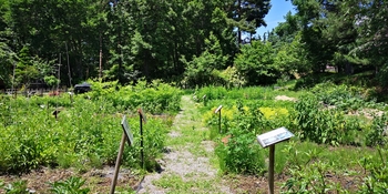 IMG_20250628_125018.jpg