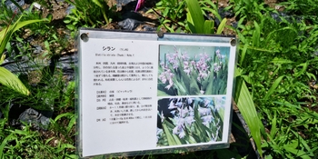 IMG_20250628_124724.jpg