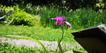 IMG_20250628_124716.jpg