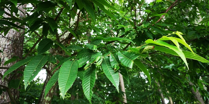 IMG_20250625_175723.jpg