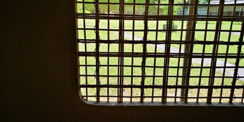IMG_20250628_124342.jpg