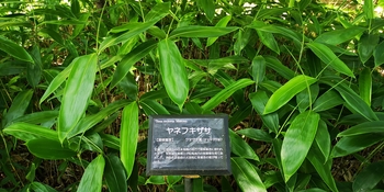 IMG_20250628_125427.jpg