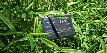 IMG_20250628_125437.jpg